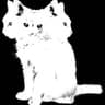nyatap