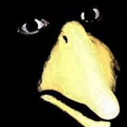 ANNOYING CROW