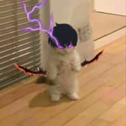 zxcRuiner