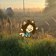 qerrl
