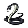 Black Mamba