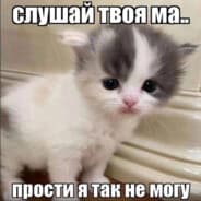 zxckitty