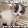 zxckitty