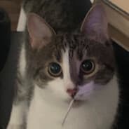 viki