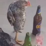 Șakiro¿