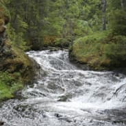 Langen Von Långbäck