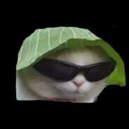 Joe