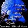 dameni