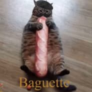Dr. CatLover6969