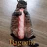 Dr. CatLover6969