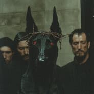vorotex666