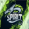malicki SpIrIt csgo
