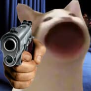 Kot