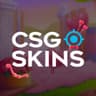 JS CSGOSKIN