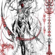 gothh波贝达