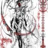 gothh波贝达