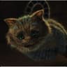 WonderCatD