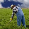 Farmer Fred