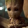 Groot