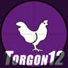 Torgussy