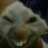 JustDave1337