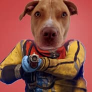 Doggo The Pitbull