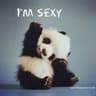 Sexy.Panda