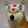 Doge.txt