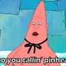 Patrick The Star