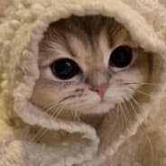 kizi