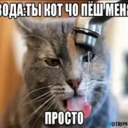 VodaKotPesh