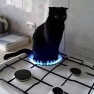 popcat
