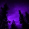 LordPurple