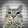 meow