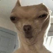 USTA 69