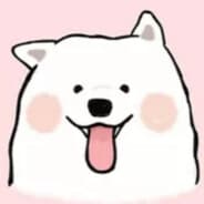 Samoyed