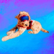 UltraLitBeam