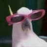 TIM MAI