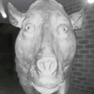 Ivan