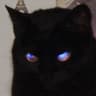 vodkat