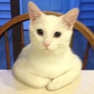 Goop