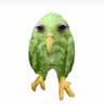pintex