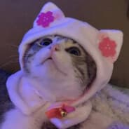 UWU_MARUŚ_#PL