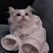 flexybtw