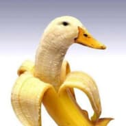 PipAnkan