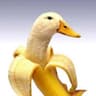 PipAnkan