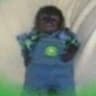 Whatsapp Jr