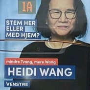 Wang Heidi