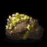 sulfur