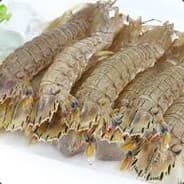 皮皮虾 我们走~